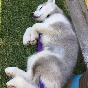 Meet your Posher, Vivi